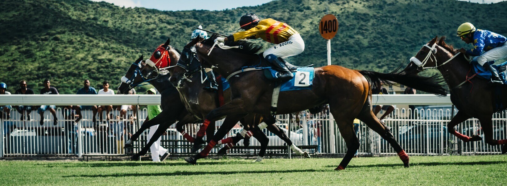 Avoid these mistakes when betting on horse race